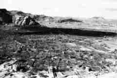 ���� ������ ��� ��� ����